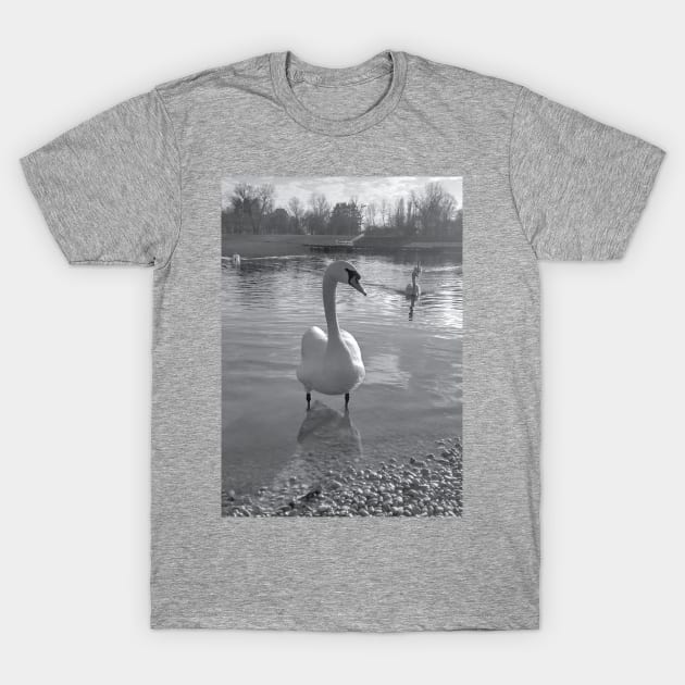 Swan photo black and white T-Shirt by Milena93